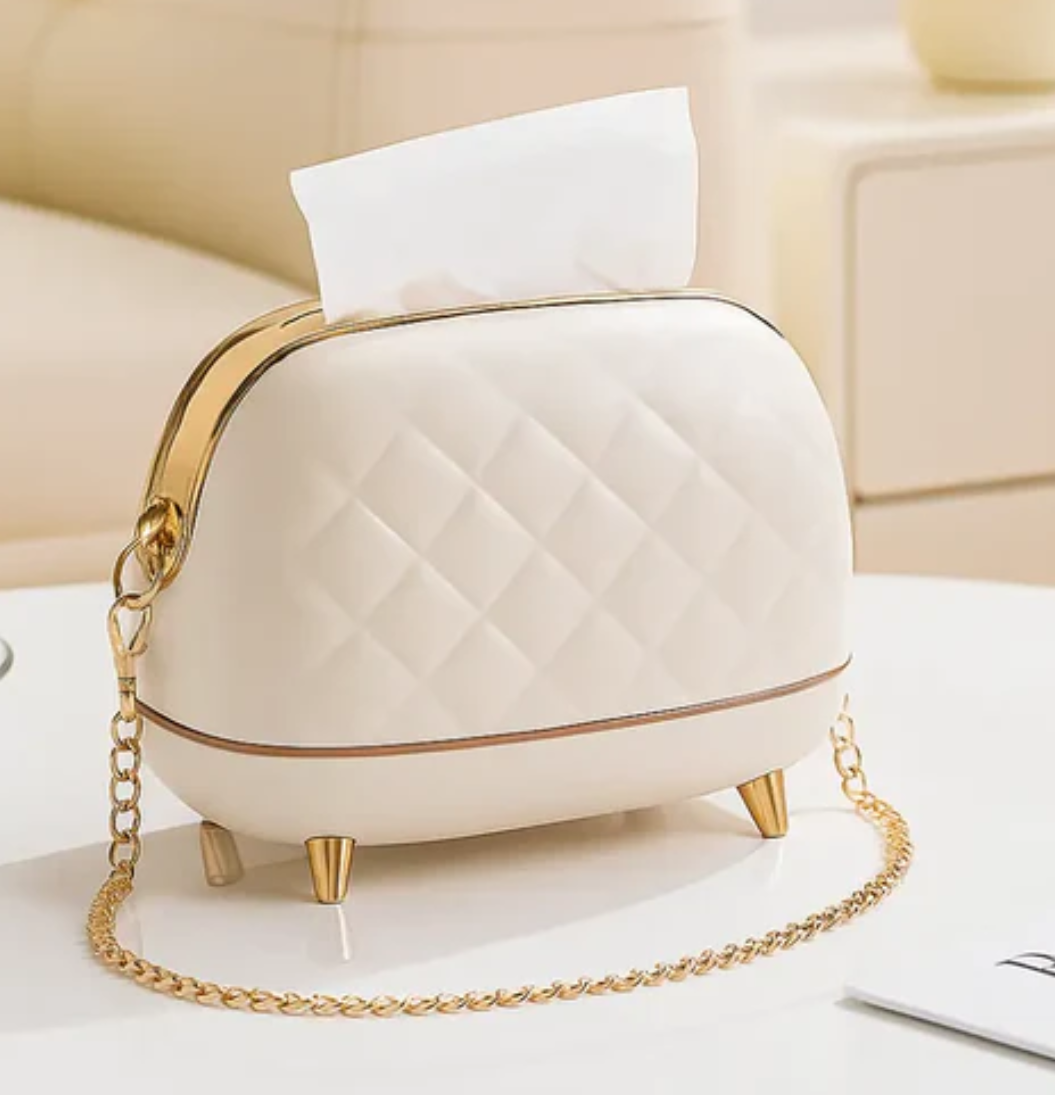 Creative Bag Shaped Tissue Box