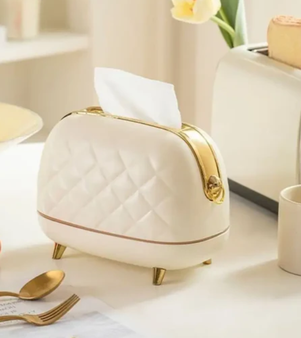 Creative Bag Shaped Tissue Box