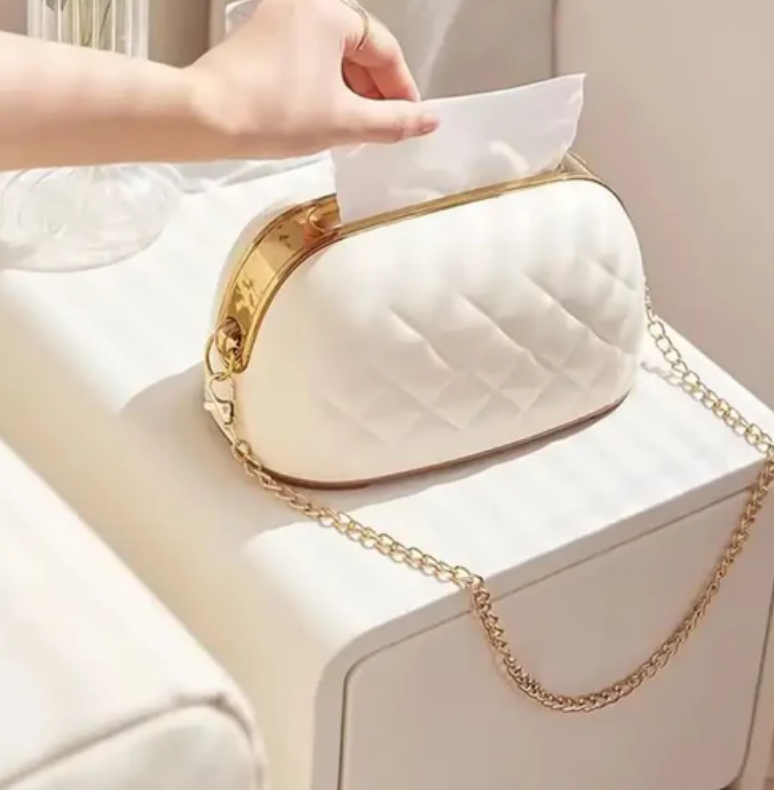 Creative Bag Shaped Tissue Box